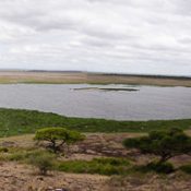 amboseli swamp