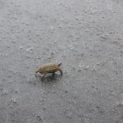 regen kann auch freude machen