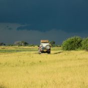 chobe np