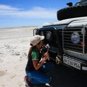 kühlerreinigung am landy