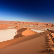 sossusvlei - big daddy dune