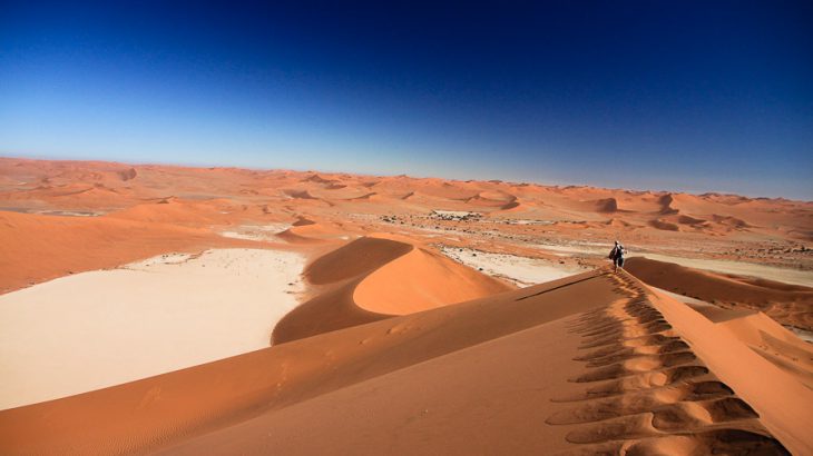 sossusvlei - big daddy dune